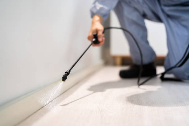 Certified termite inspector examining foundation in Lesslie