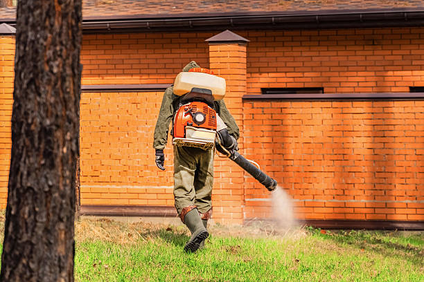 Top rated local Mosquito Control specialists in Lesslie, SC